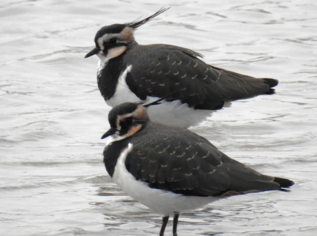 Lekker met zijn tweetjes