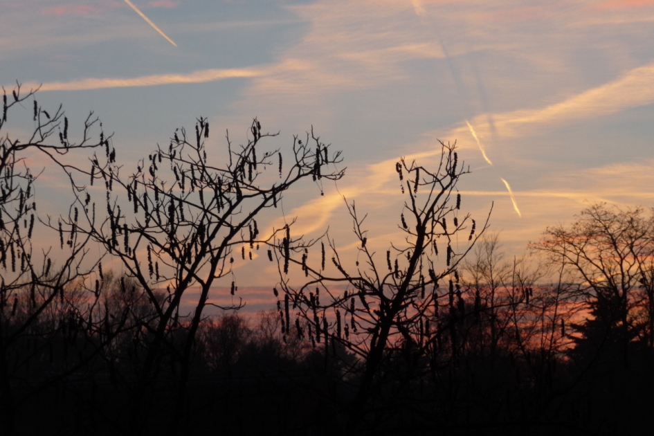 Mooie kleuren - Weer en landschap - 