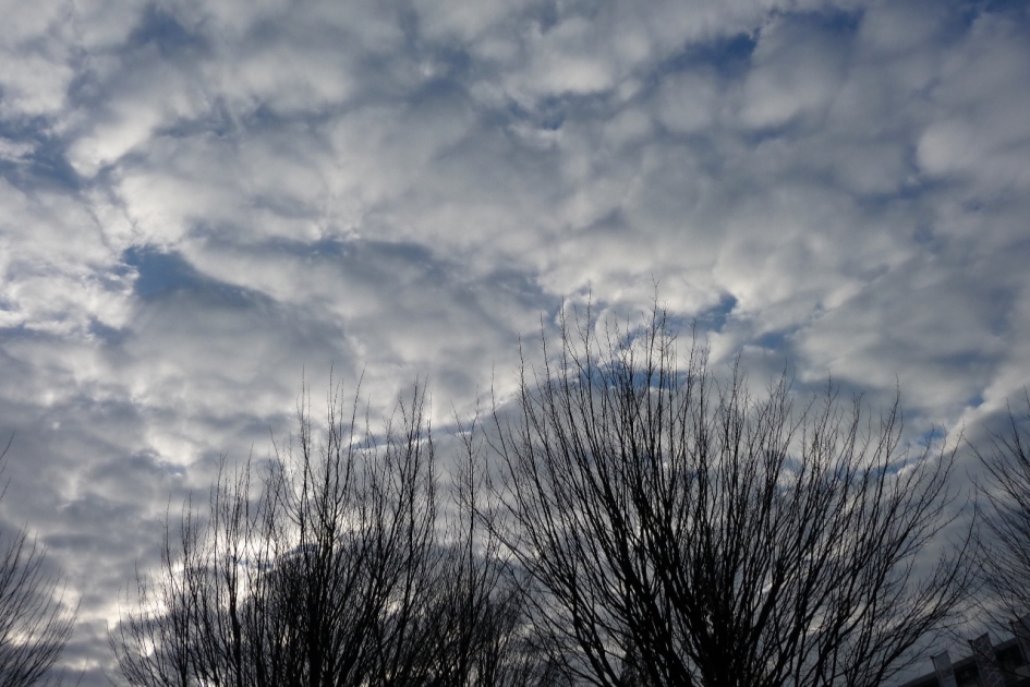 Mooie wolkjes - Weer en landschap - 