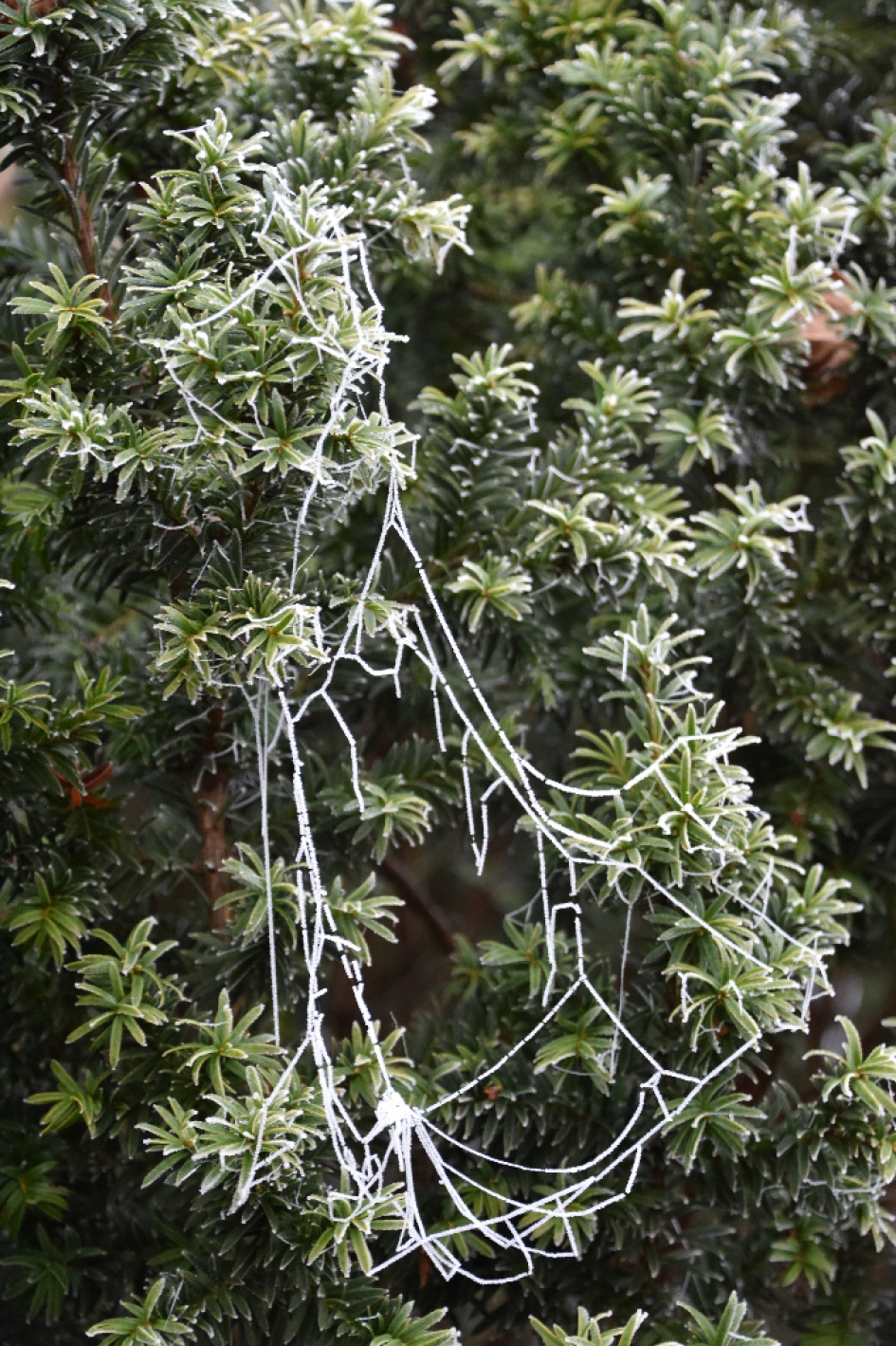 Nog een.. - Weer en landschap - 