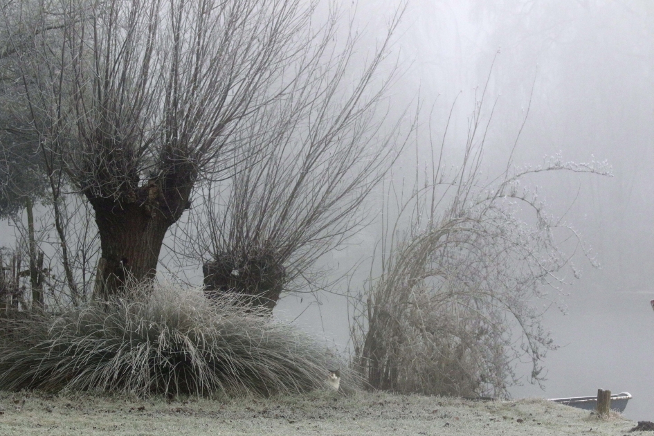 Poessie mauw - Weer en landschap - 