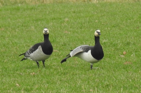 Rek en strekoefeningen.