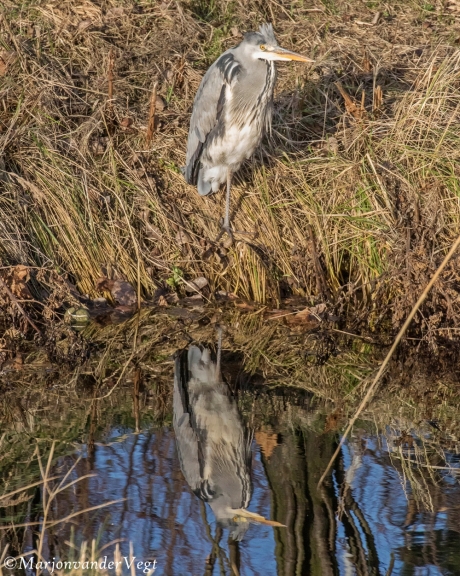 Spiegelbeeld vertel 'ns even..