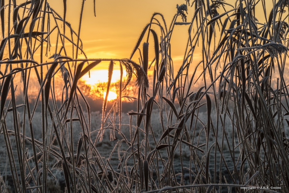Stilte - Weer en landschap - 