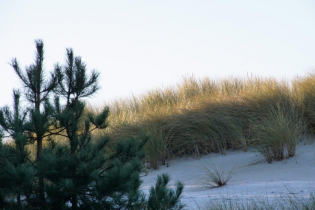 Streepje licht door het duin