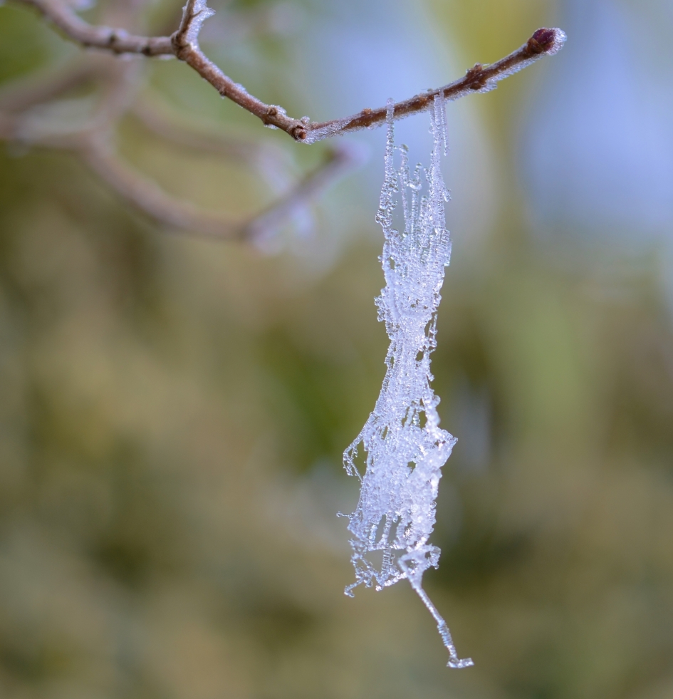 De was aan de waslijn van een Elfje. - Overig - 