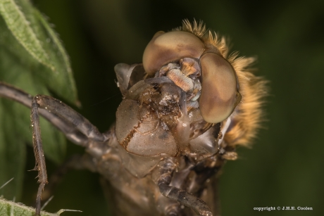 Van oud naar nieuw...