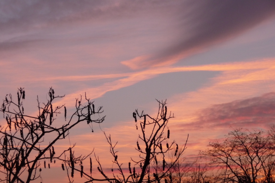 Van paars naar oranje en weer terug - Weer en landschap - 