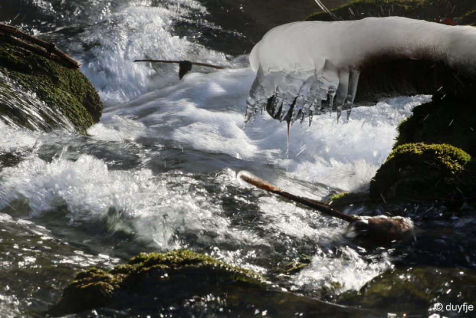 verstilde stroming - Weer en landschap - 