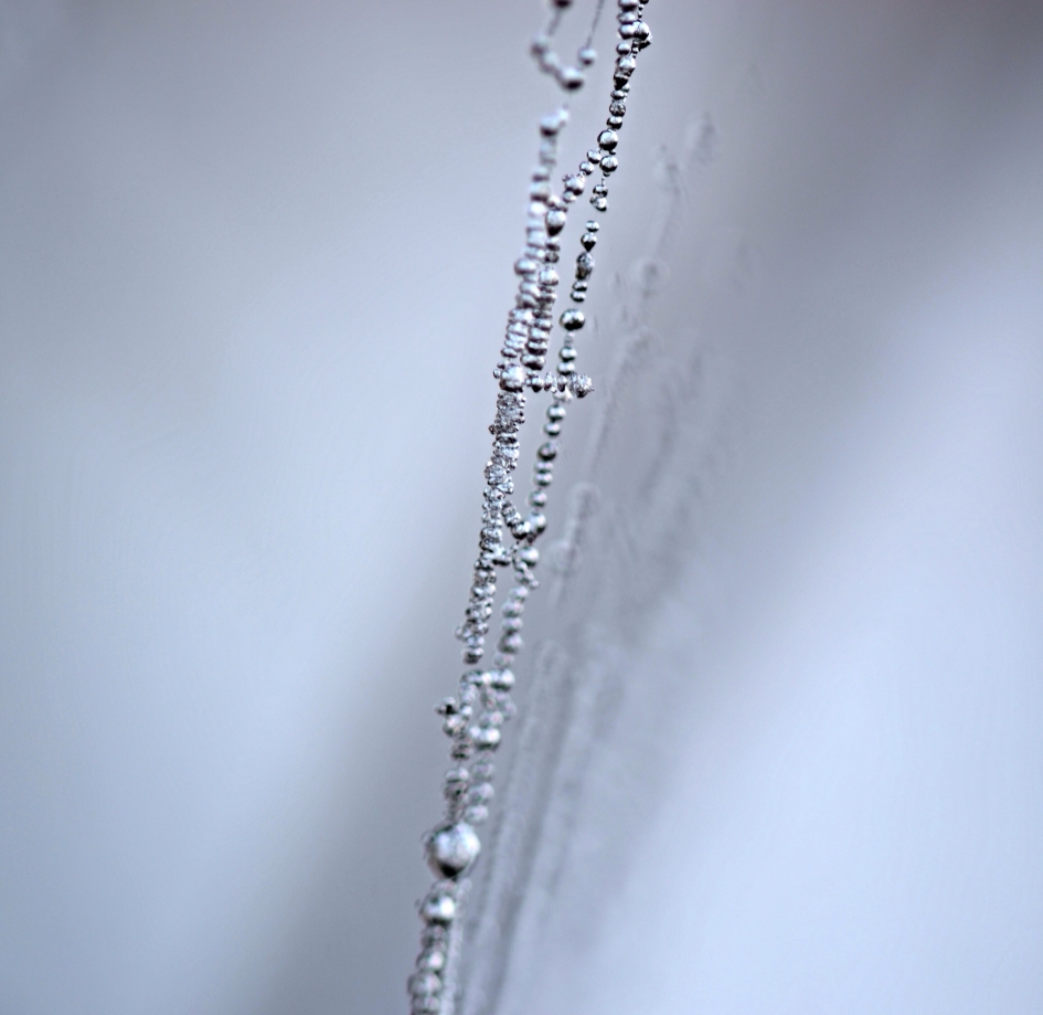 Vuurwerk - Weer en landschap - 