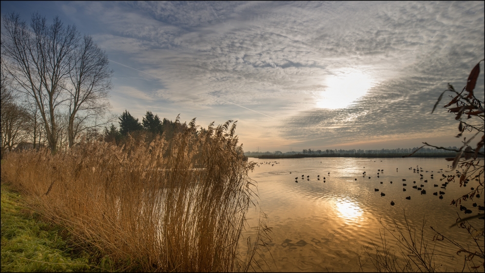 Wiel bij Gouda - Weer en landschap - Wiel