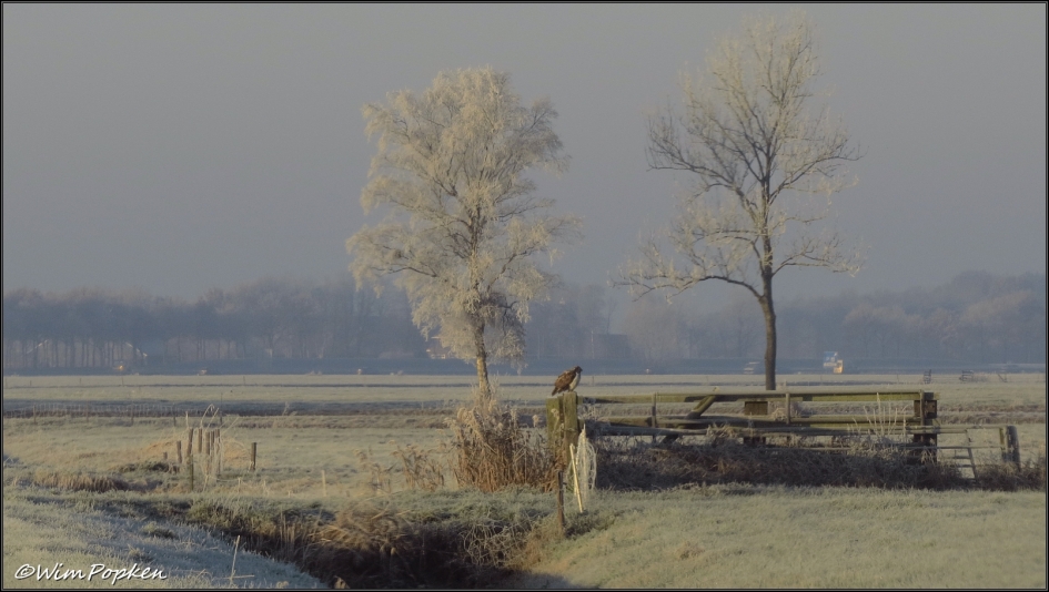 Winter - Weer en landschap - Winter
