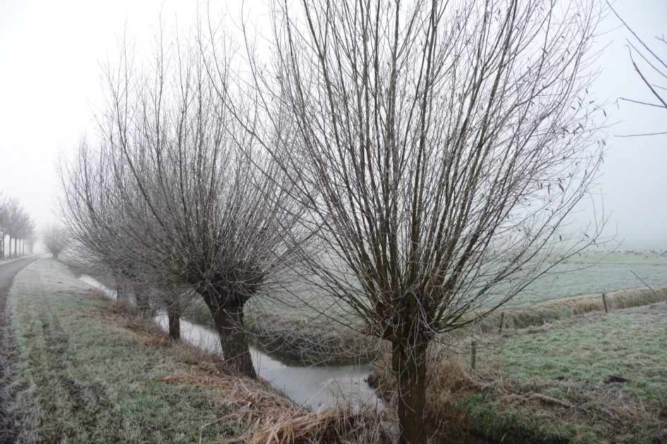 Winters landschap - Weer en landschap - 