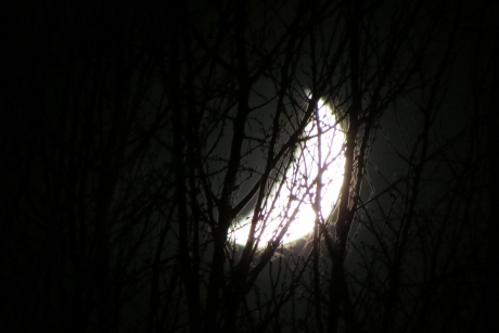 Zie de maan schijnt...