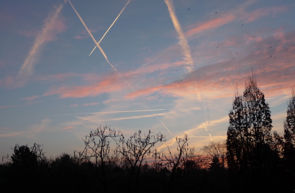 Zonsopkomst - Weer en landschap - 