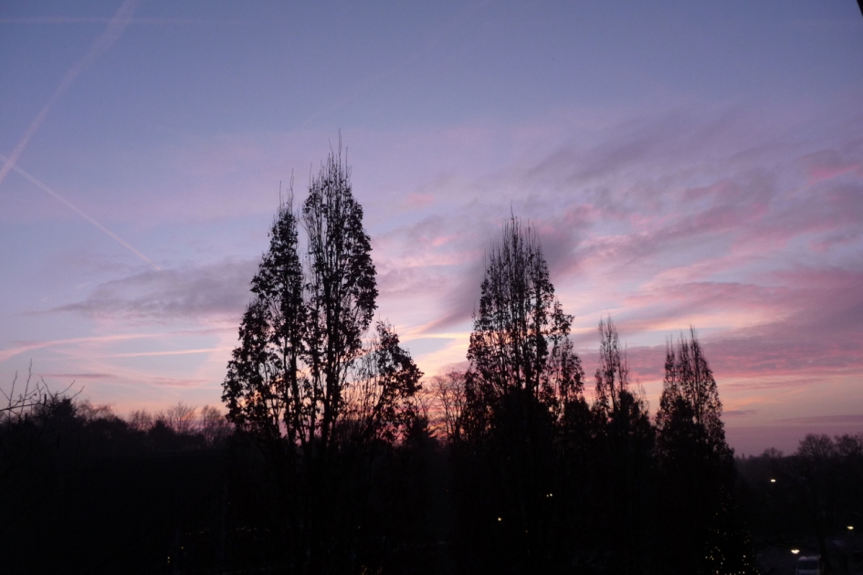 8:00 uur - Weer en landschap - 