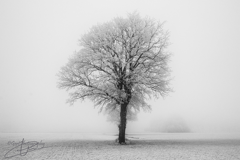 Berijpt - Weer en landschap - 