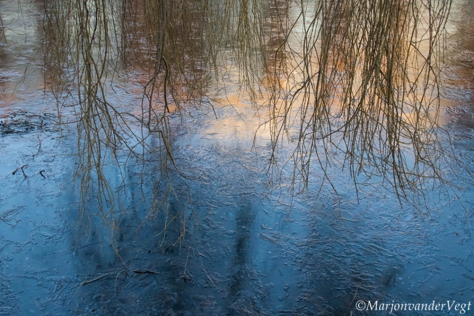 Bevroren waarheid - Weer en landschap - Ijs