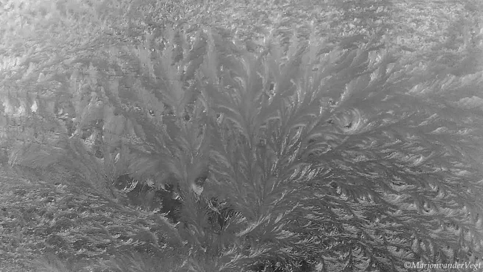 Bouquet - Overig - ijsbloemen