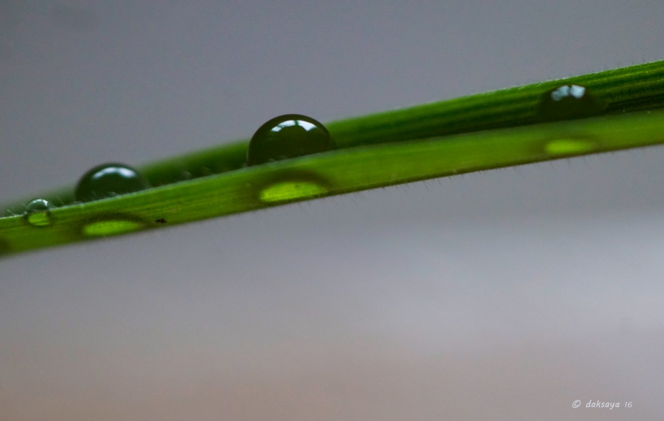 Dark droplets - Weer en landschap - 