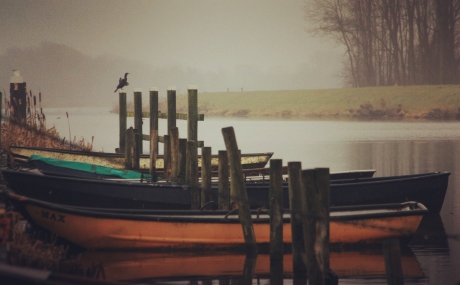 Even uitrusten langs de Ijssel