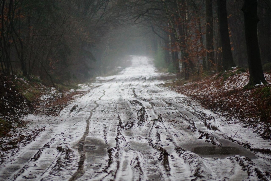Het bospad - Weer en landschap - 