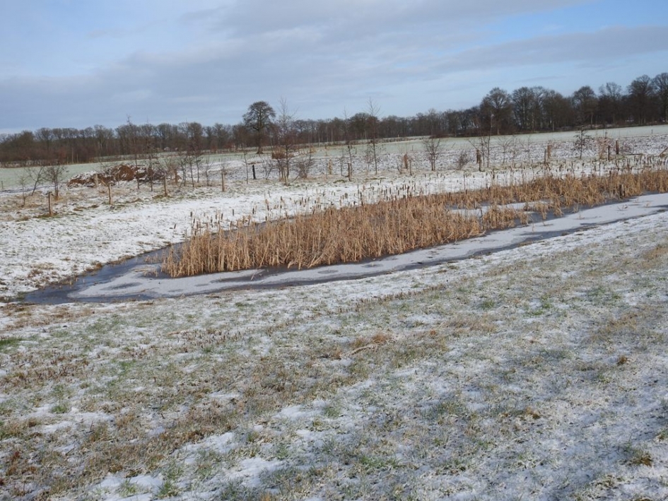 Het is winter in Twente - Overig - 