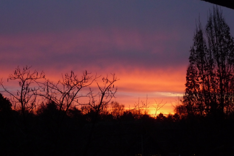 Iets later - Weer en landschap - 