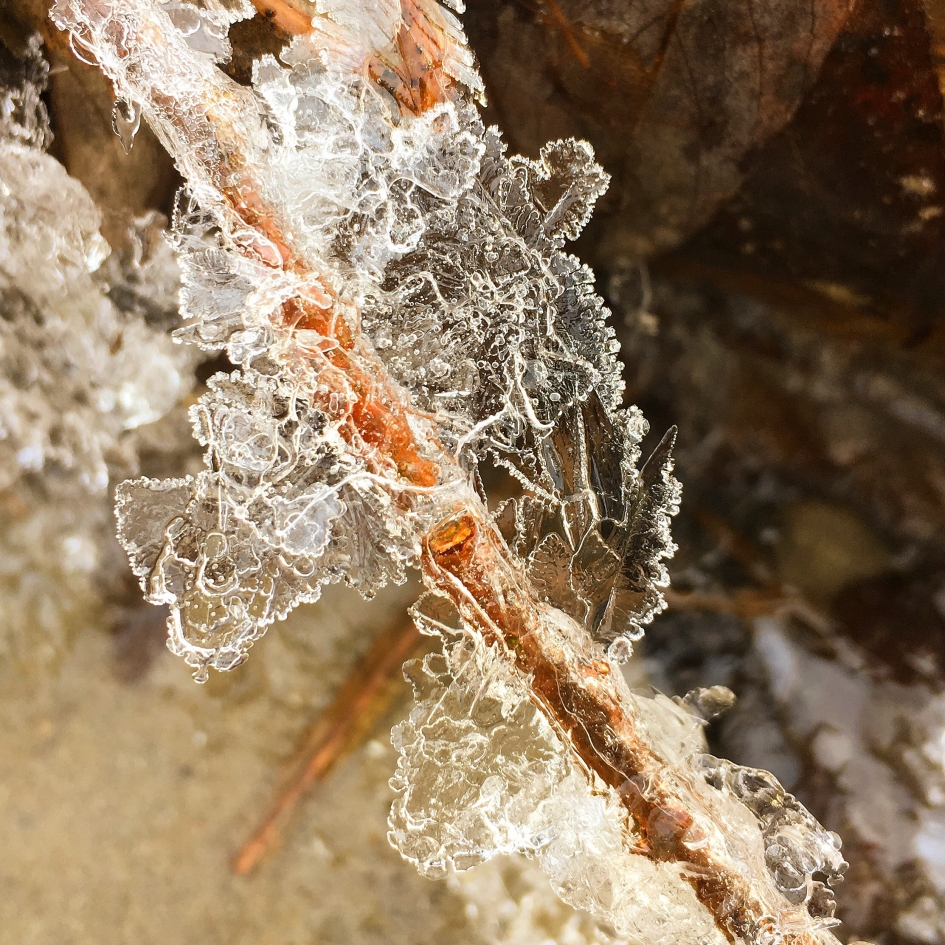 Ijsbloemen - Weer en landschap - 