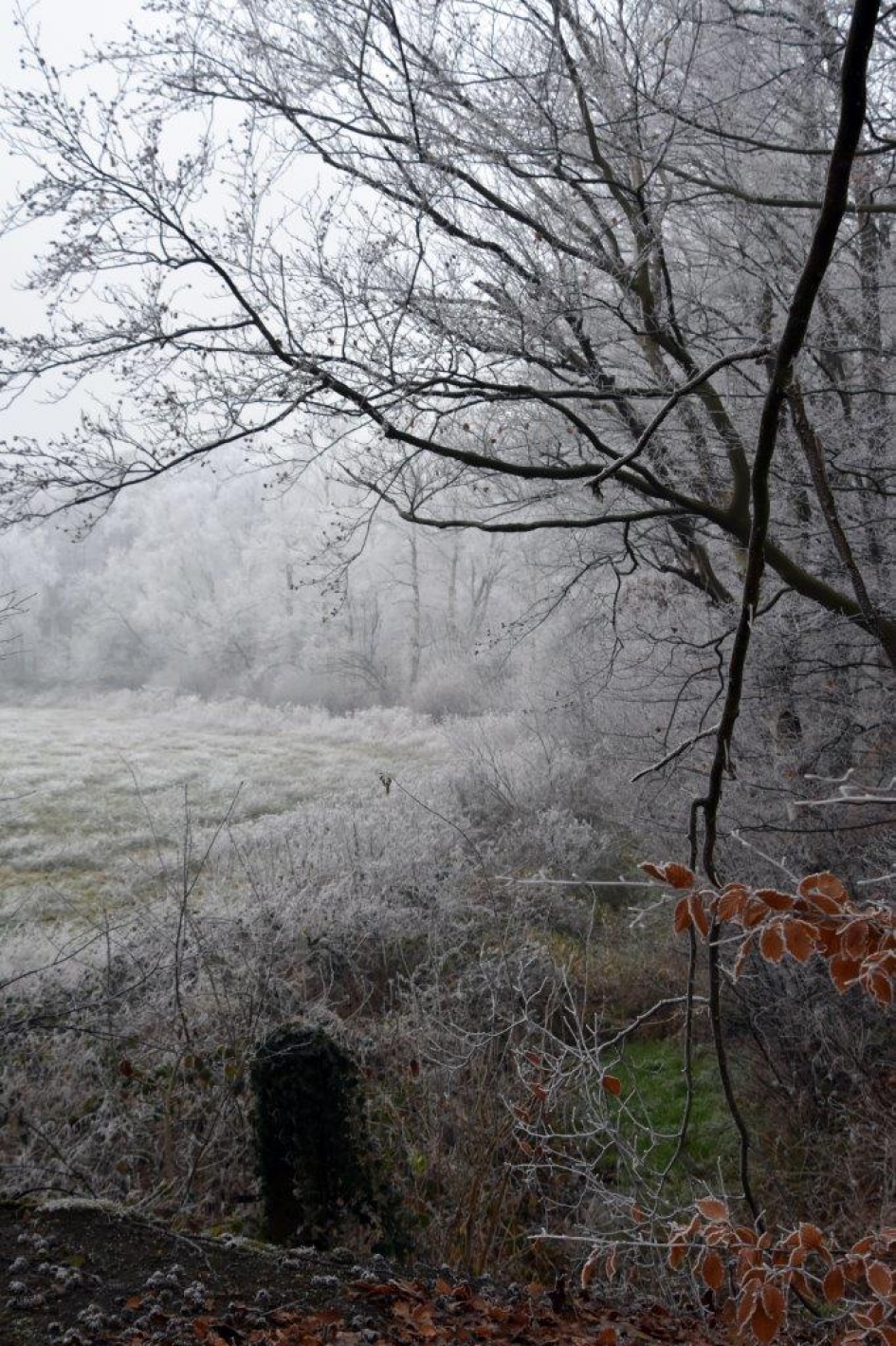 Koud - Weer en landschap - 