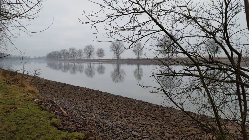 Lekke Maas - Weer en landschap - Maas