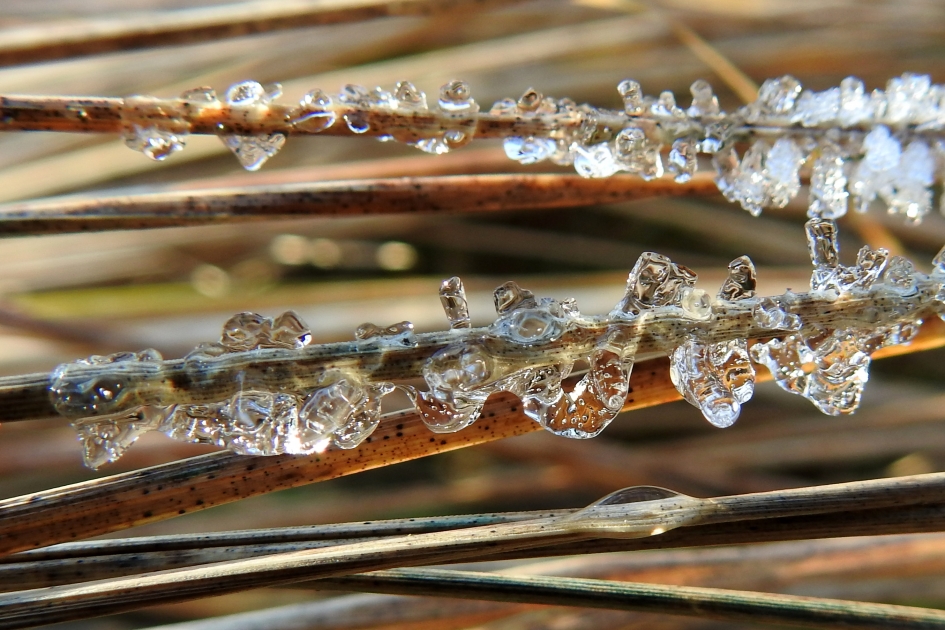 Lichte dooi - Weer en landschap - 