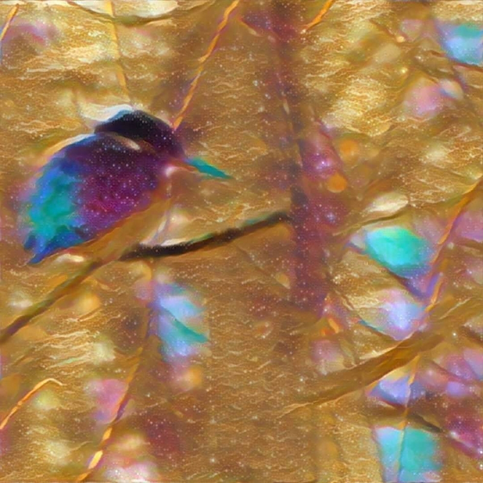 meestal niets meer dan een blauwe flits - Vogels - ijsvogel