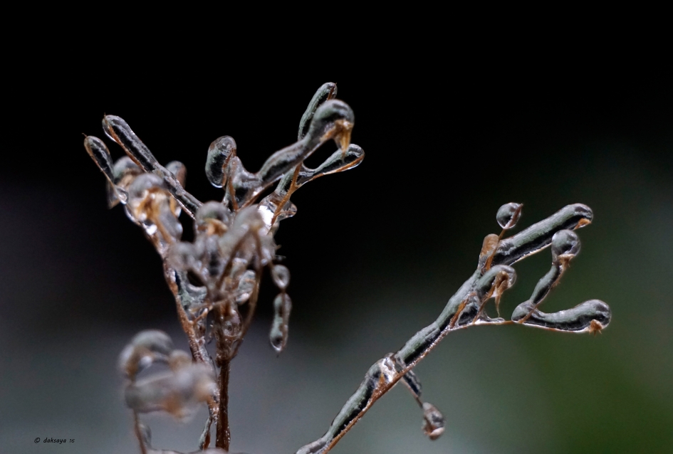 Onderkoeld - Weer en landschap - 
