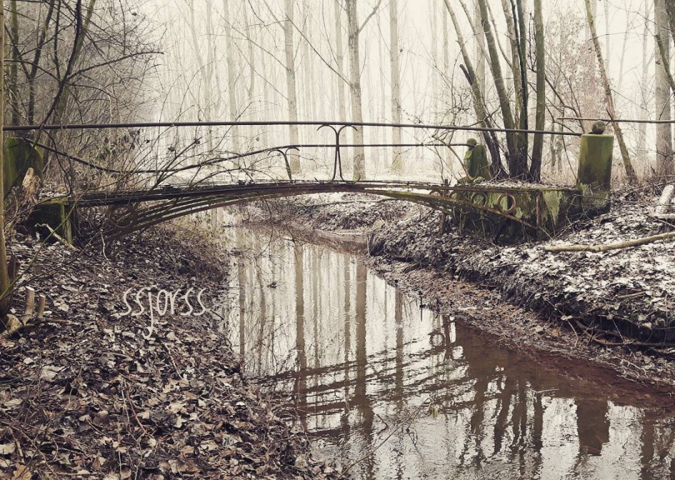 oud vergeten bruggetje in het bos - Weer en landschap - 