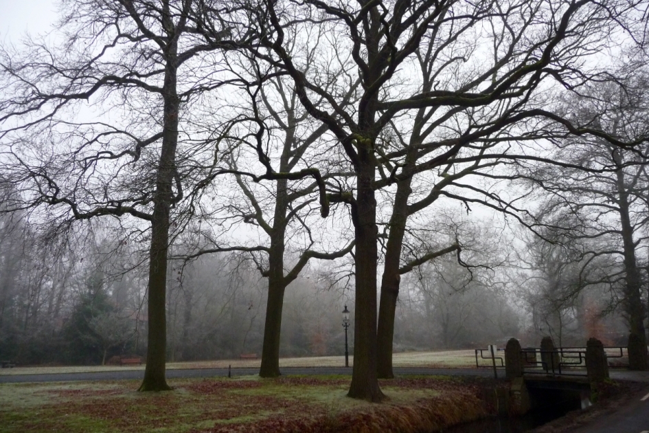 Park - Weer en landschap - 