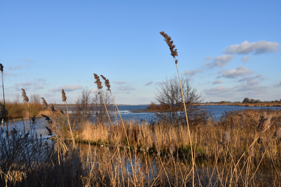 Randmeer - Weer en landschap - 
