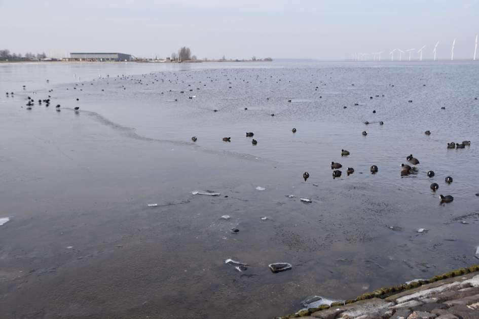 Randmeer - Weer en landschap - 