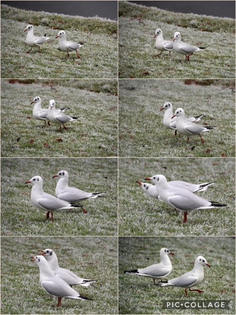 Samen uit, samen....