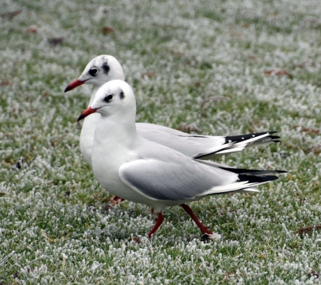 Samen zijn we sterk..