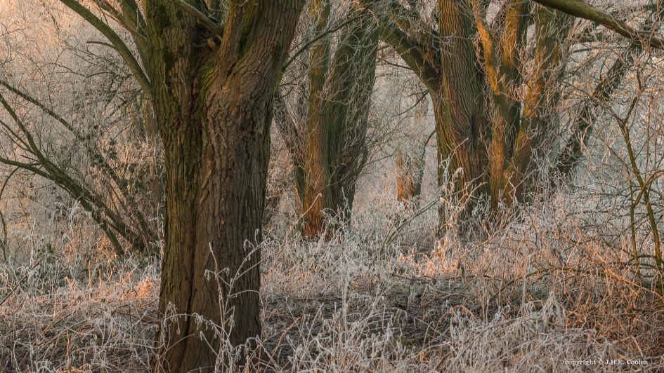 Struinen - Weer en landschap - 