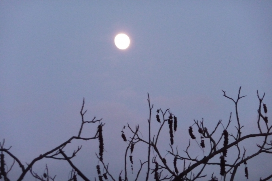 Volle maan - Weer en landschap - 