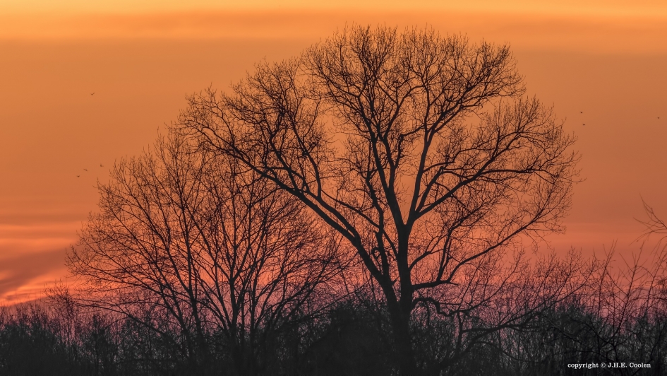 Weinig wit - Weer en landschap - 