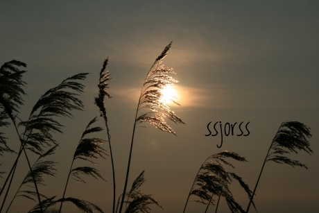 windstil langs de Ijssel