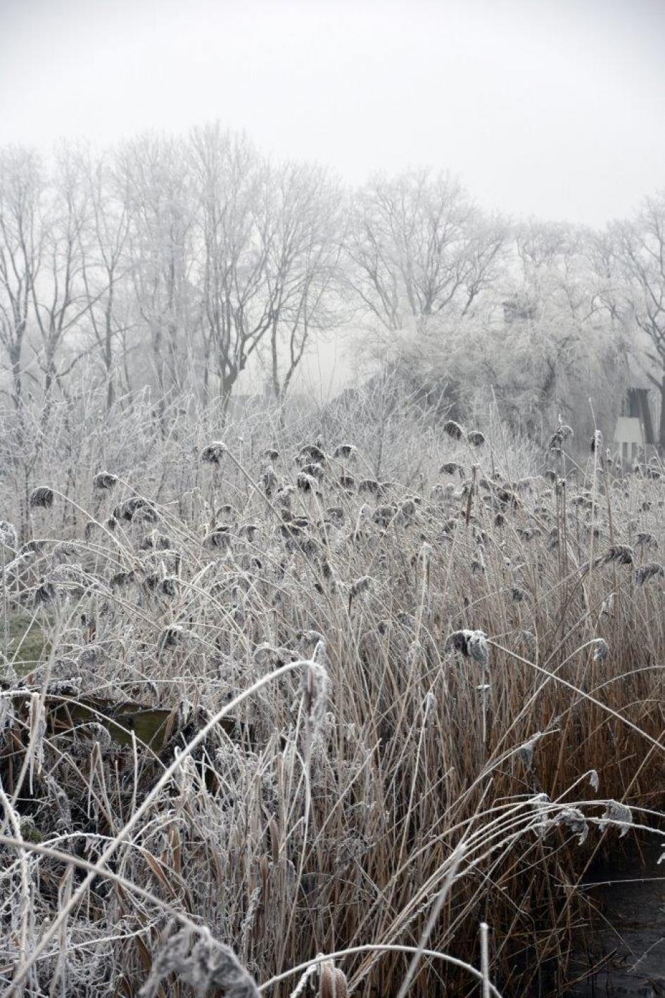 Winter - Weer en landschap - 