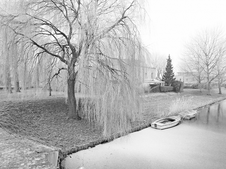 Winter in Filmwijk Almere - Weer en landschap - 