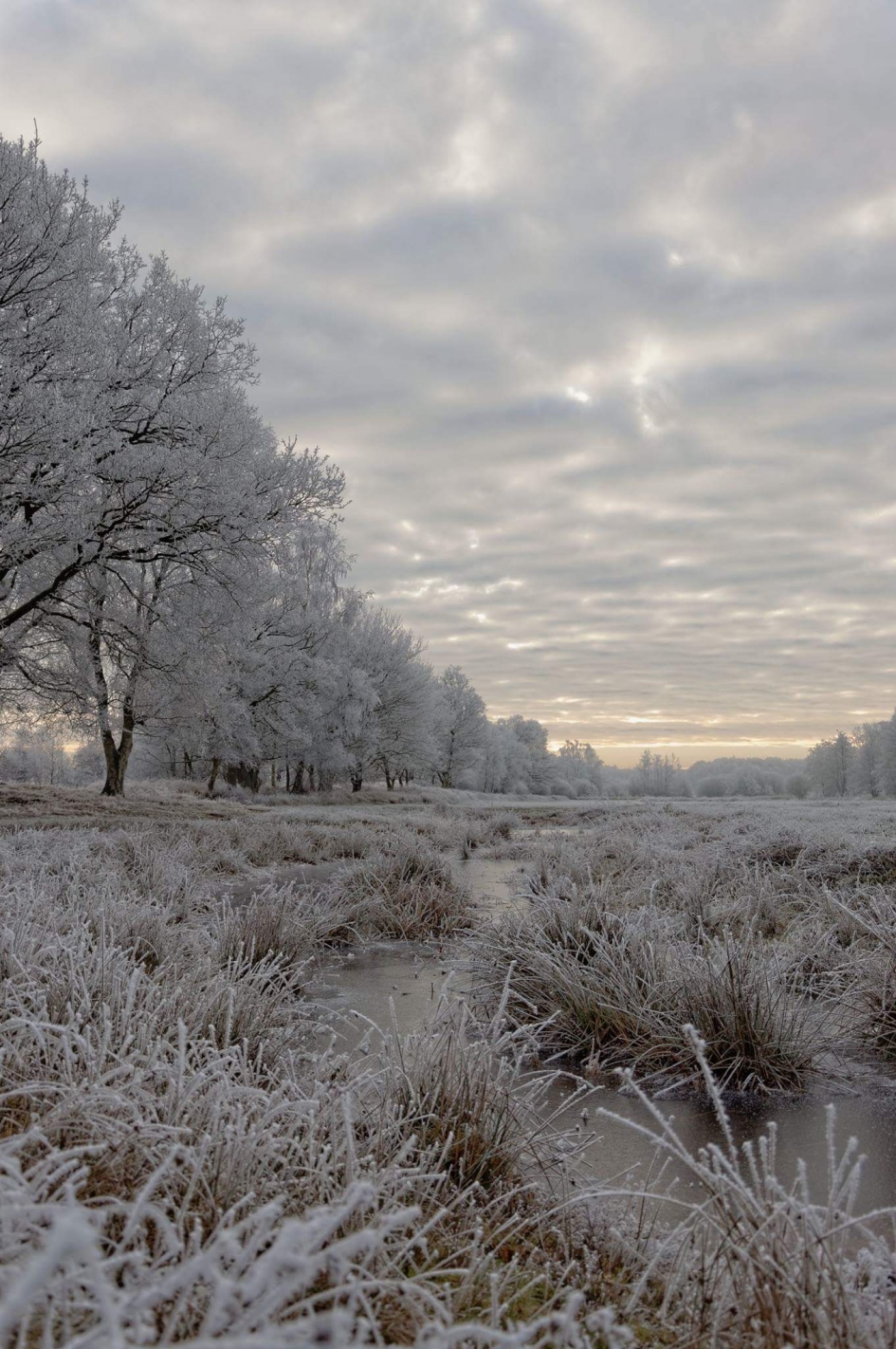 Winterwonderland - Weer en landschap - 
