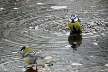 Zei jij nou dat dit lekker was?