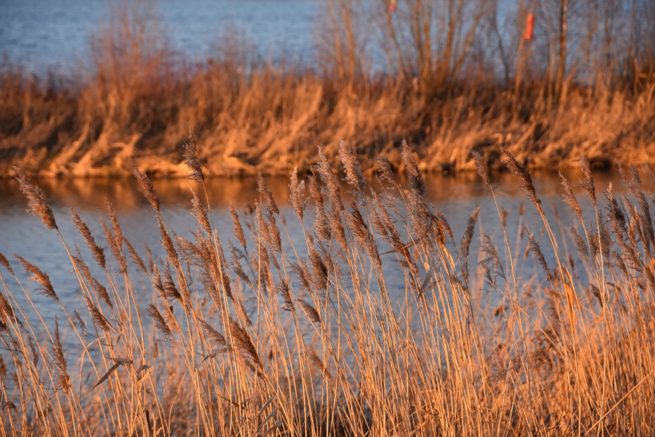 Polsmaten - Weer en landschap - 