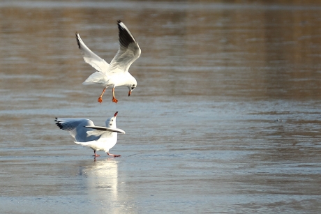 Big brother is watching you